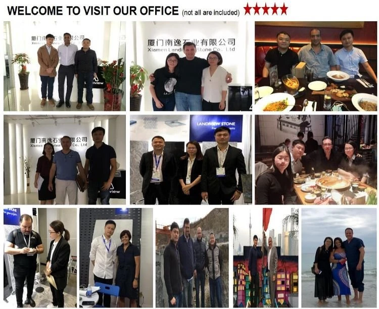 Landiview partners